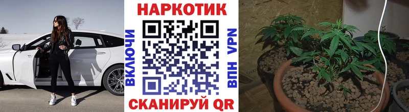 APVP Южа