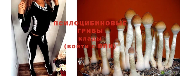 твердый Бородино