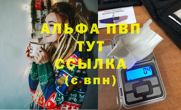 твердый Бородино