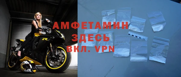 твердый Бородино
