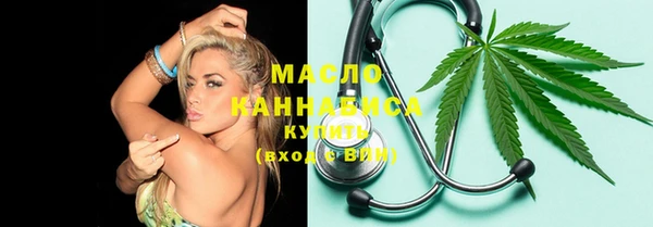 твердый Бородино