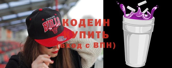 твердый Бородино