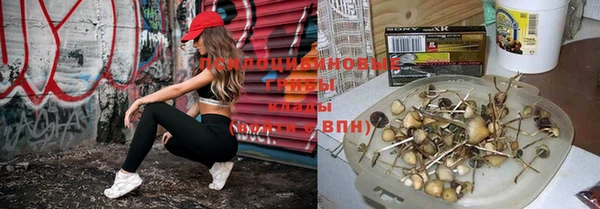 трава Бугульма