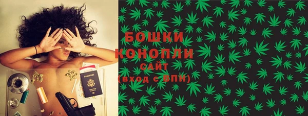 твердый Бородино